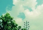 扣字软件防检查
